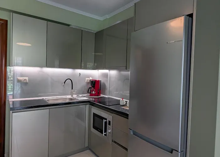 Anasa Apartament *
